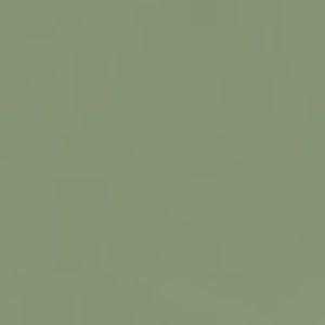 Meet your Posher, Layla